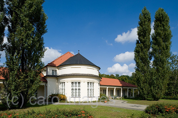 0CE100911D019CARO.JPG