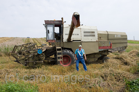 0CE100806D002CARO.JPG