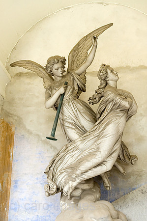 0CE100723D015CARO.JPG