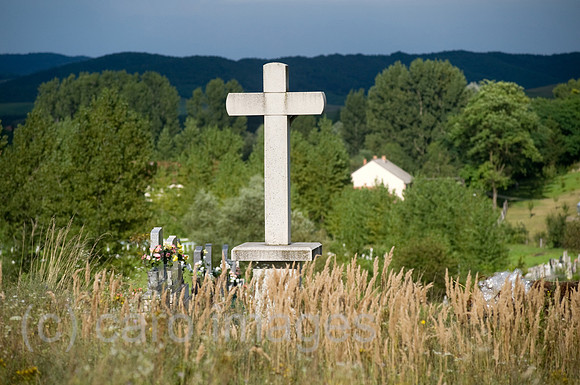0CE100809D002CARO.JPG