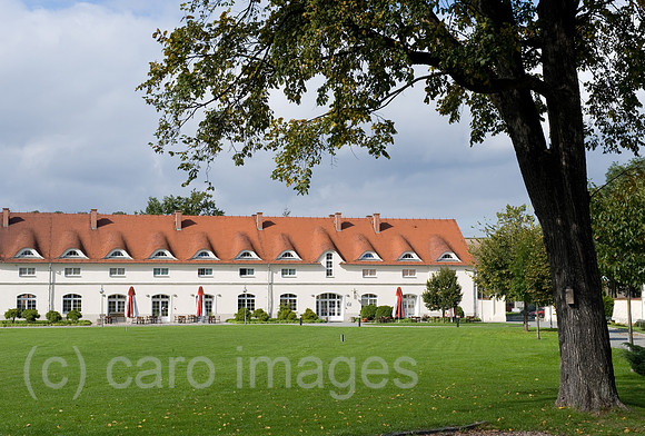 0CE101001D014CARO.JPG