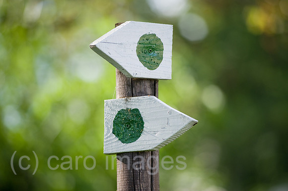 0CE100903D018CARO.JPG
