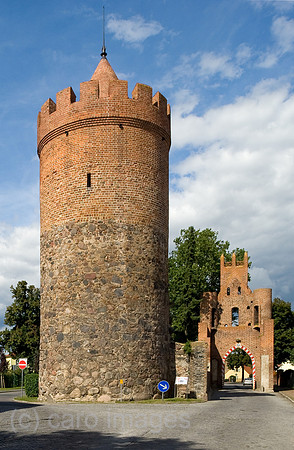 0CE100903D037CARO.JPG