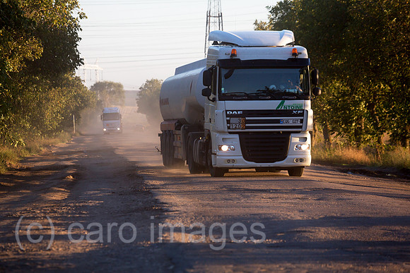 00A160831D446CAROEX.JPG