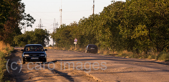 00A160831D438CAROEX.JPG