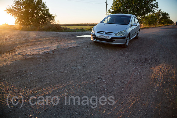 00A160831D461CAROEX.JPG