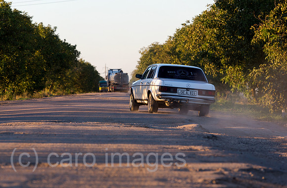 00A160831D453CAROEX.JPG