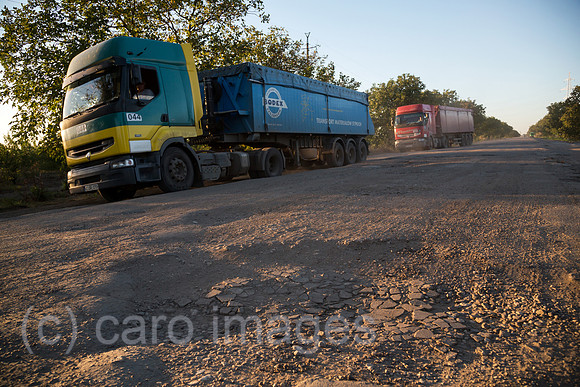 00A160831D458CAROEX.JPG