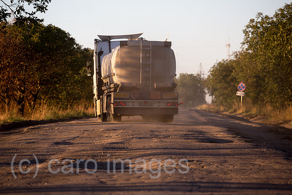 00A160831D447CAROEX.JPG