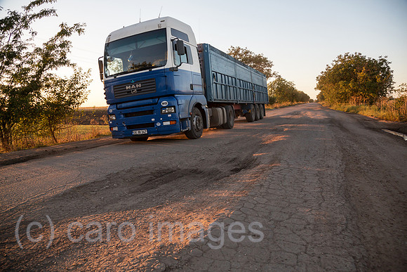 00A160831D464CAROEX.JPG