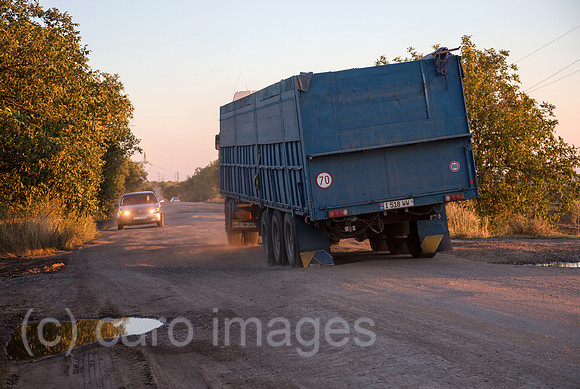 00A160831D465CAROEX.JPG