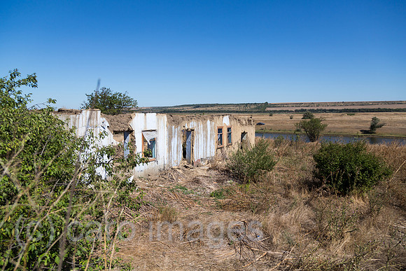 00A160831D298CAROEX.JPG