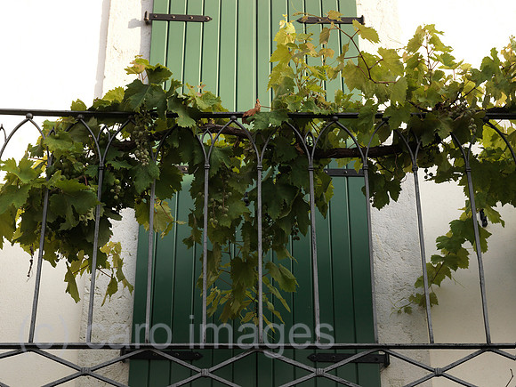 0JL120707D029CARO.JPG