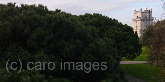 0JL110310D017CARO.JPG