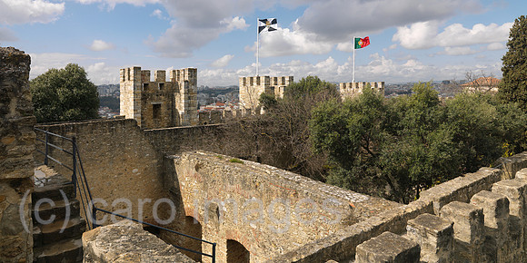 0JL110312D049CARO.JPG