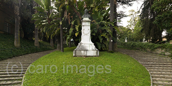 0JL110313D039CARO.JPG