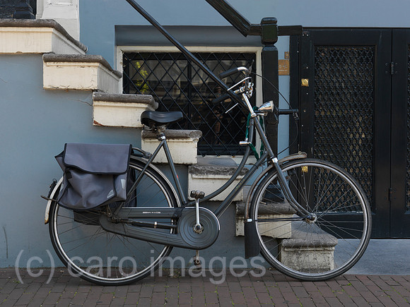 0JL110525D142CARO.JPG