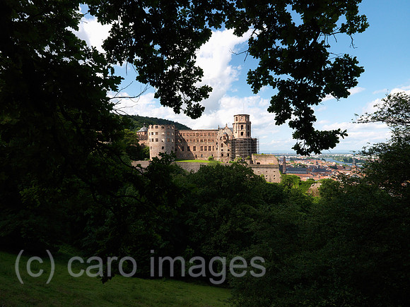 0JL120609D067CARO.JPG