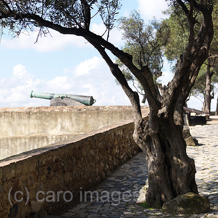 0JL110312D059CARO.JPG
