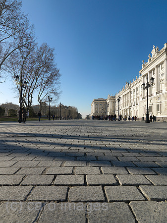 0JL100317D029CARO.JPG
