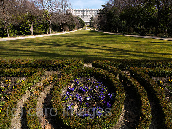 0JL100316D041CARO.JPG