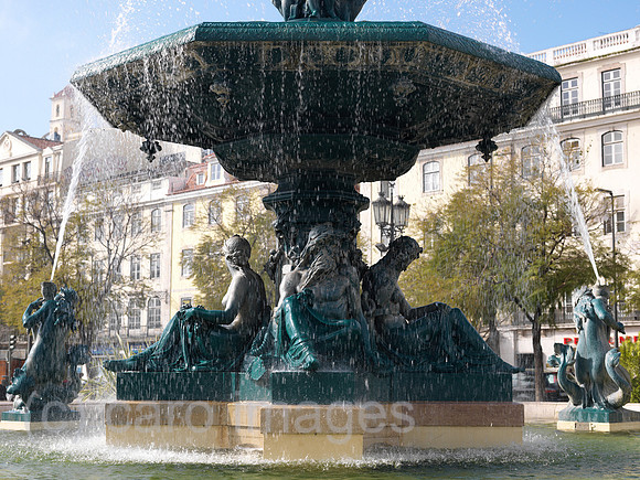 0JL110309D021CARO.JPG