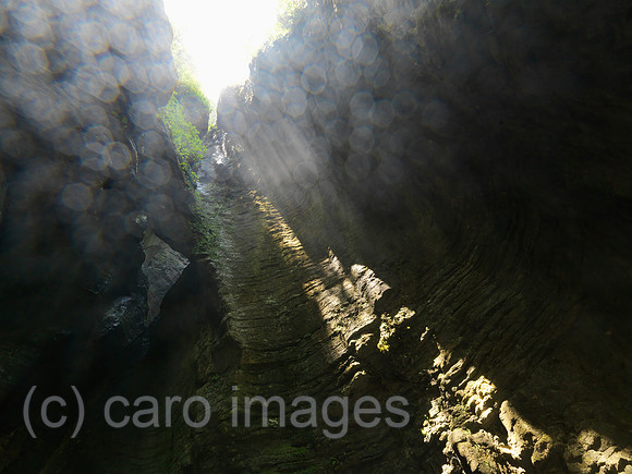 0JL120707D059CARO.JPG