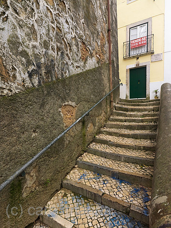 0JL110312D005CARO.JPG