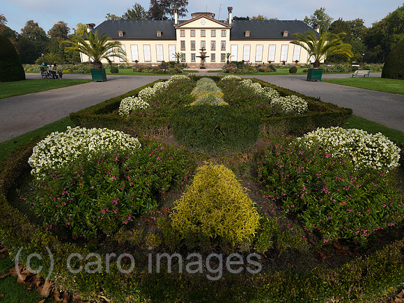 0JL120930D045CARO.JPG