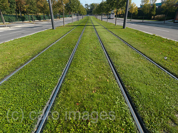 0JL120930D065CARO.JPG