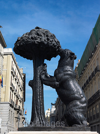 0JL100317D093CARO.JPG
