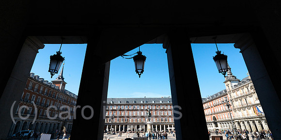 0JL100317D081CARO.JPG