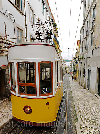 0JL110314D055CARO.JPG