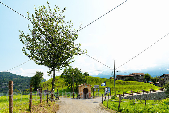 0JL110726D007CARO.JPG