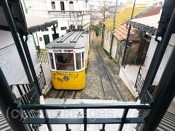0JL110308D023CARO.JPG