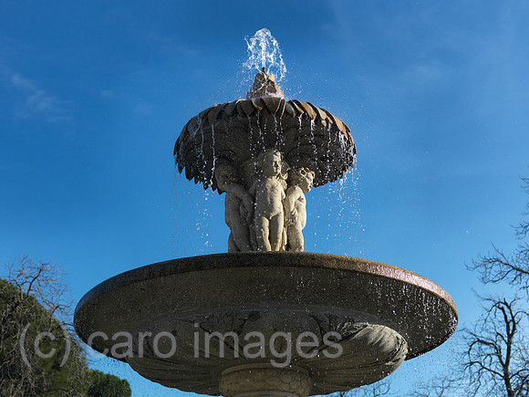0JL100317D131CARO.JPG