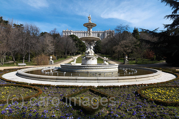 0JL100316D047CARO.JPG