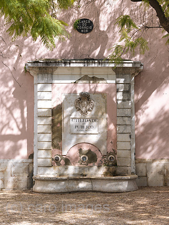 0JL110312D011CARO.JPG