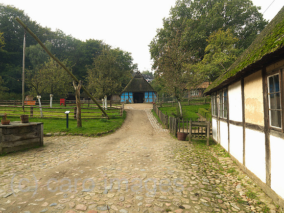 0JL101003D017CARO.JPG