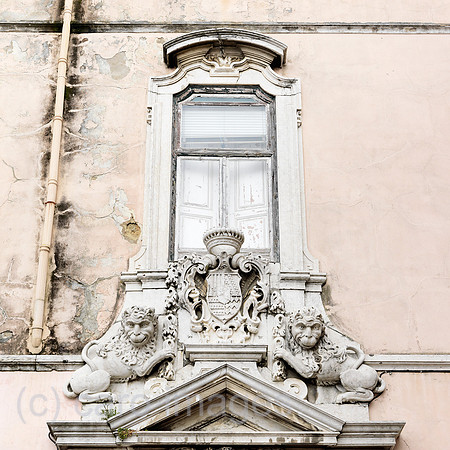 0JL110312D001CARO.JPG