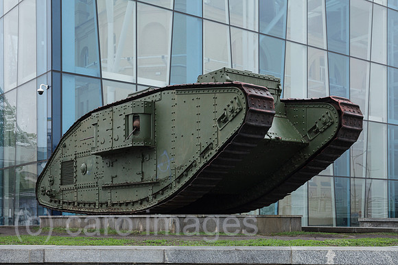 00P190430D818CAROEX.JPG