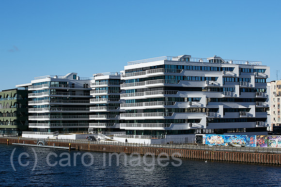 00R200205D006CAROEX.JPG