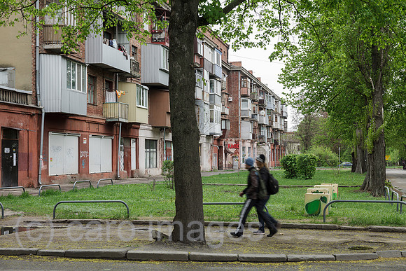 00P190429D775CAROEX.JPG