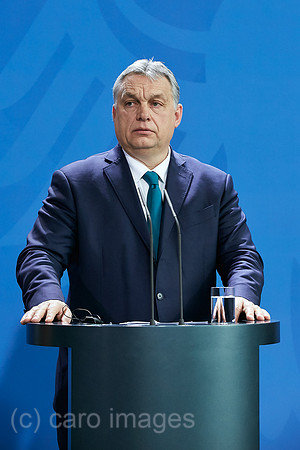 00R200210D075CAROEX.JPG