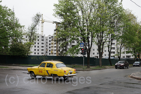 00P190429D769CAROEX.JPG
