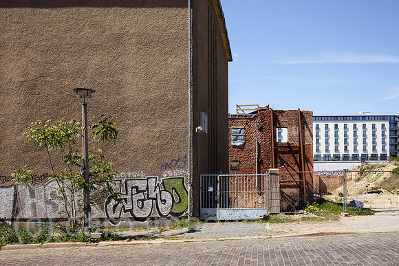 00P190512D825CAROEX.JPG