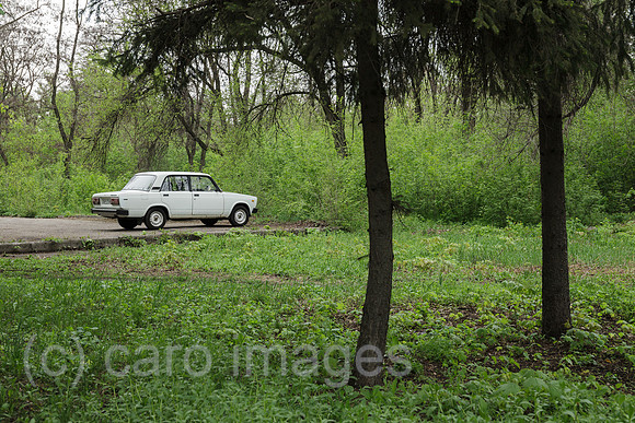 00P190429D774CAROEX.JPG