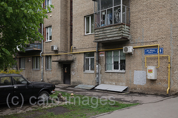 00P190429D772CAROEX.JPG
