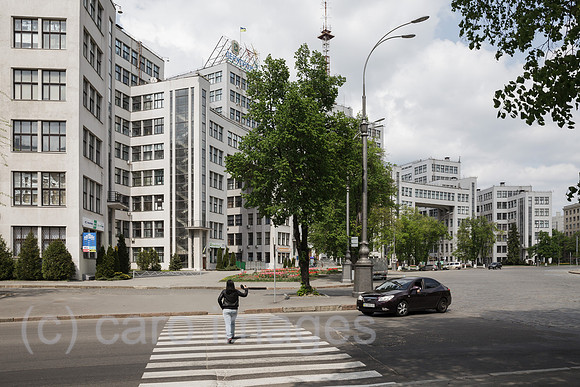 00P190428D734CAROEX.JPG