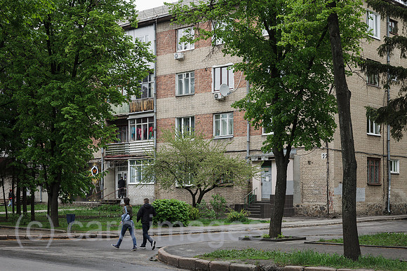 00P190429D773CAROEX.JPG
